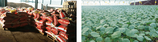 一產(chǎn)：綠禾農(nóng)業(yè)園區(qū)