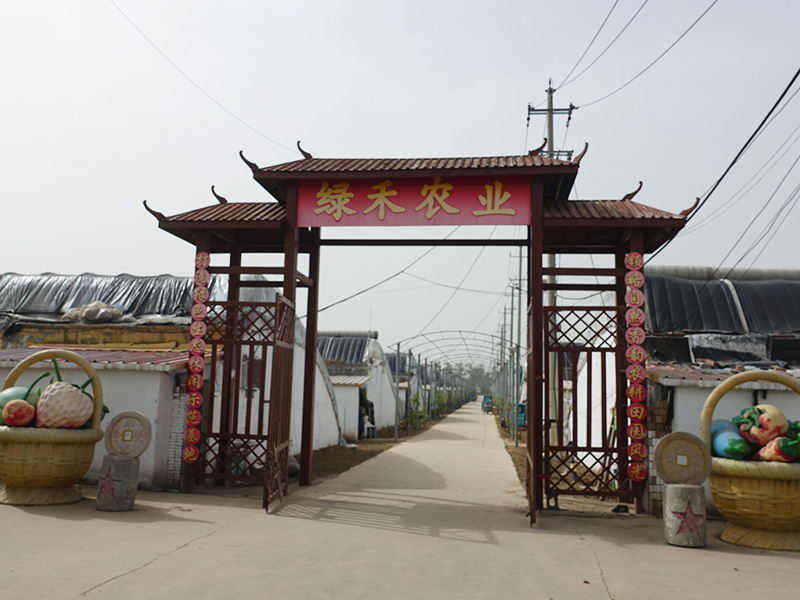 山東綠禾農(nóng)業(yè)綜合開(kāi)發(fā)有限公司