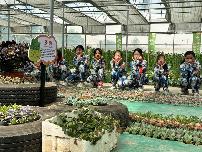 eedd8a2ccf66c5ab701d0c2dc7d4150d