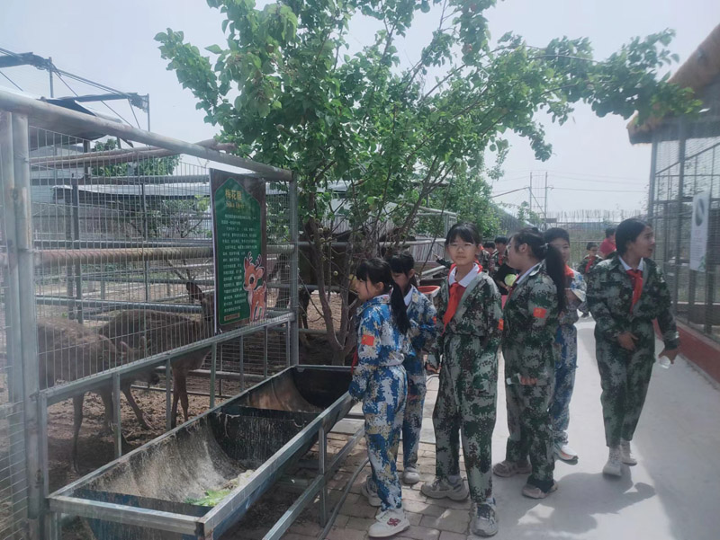 ae698be91e5ac0924770831d3b065c2c